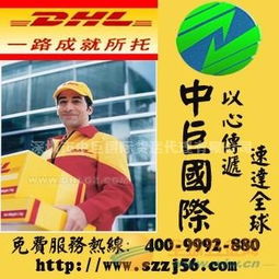 国际快递与国际物流一站式服务指南 进口与出口的全面解决方案